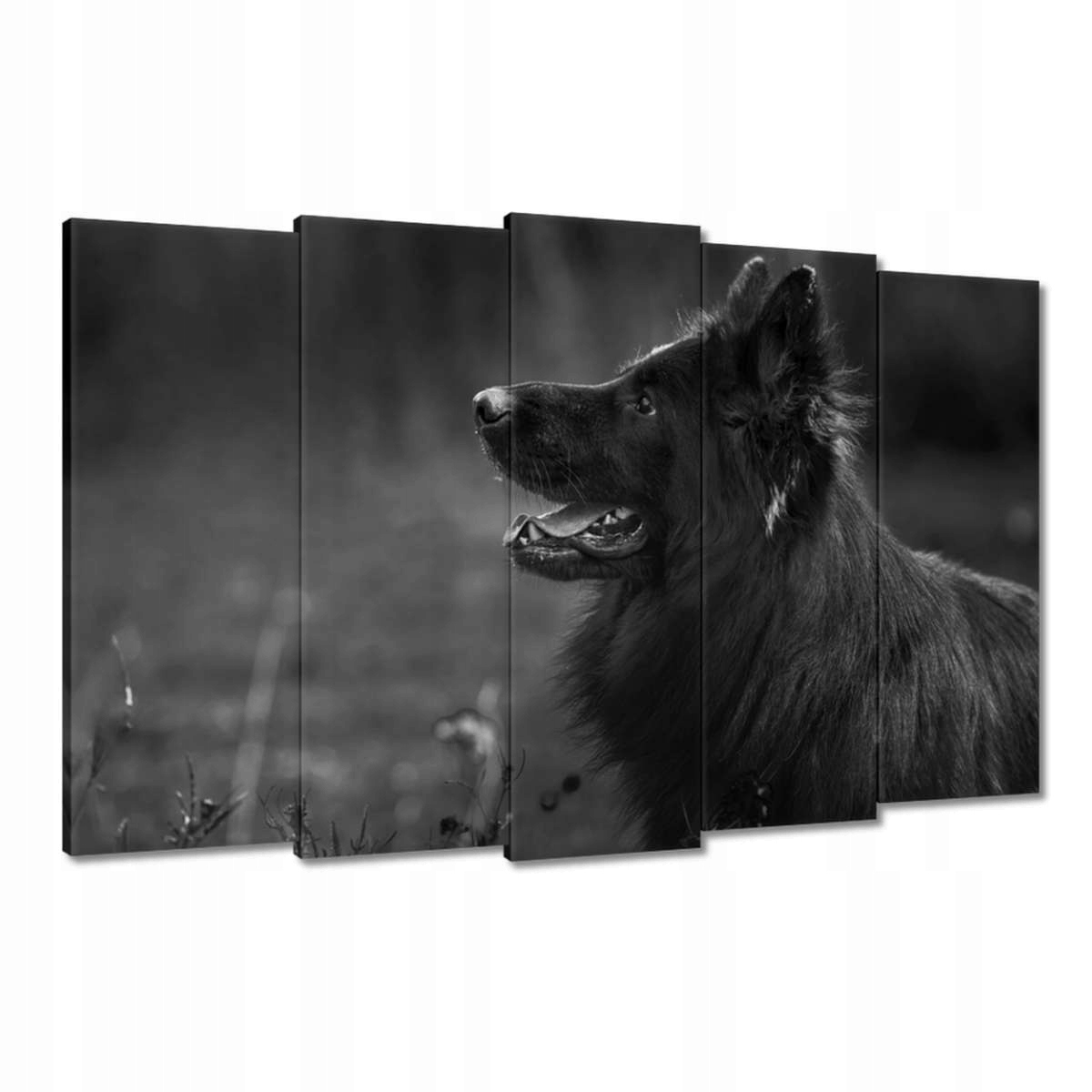 Obrazy 150x95 Německý ovčák