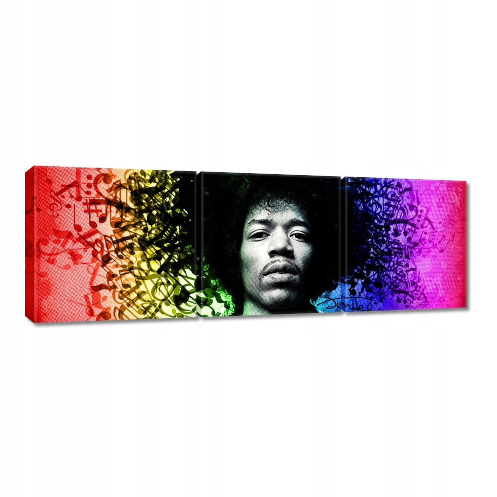 

Obrazy 150x50 Tęczowy Hendrix