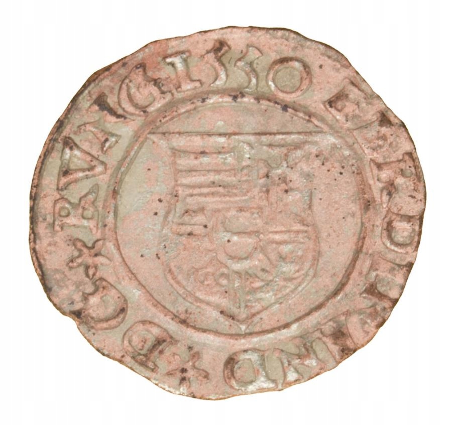 Denar 1555 Ferdynand I Habsburg Węgry