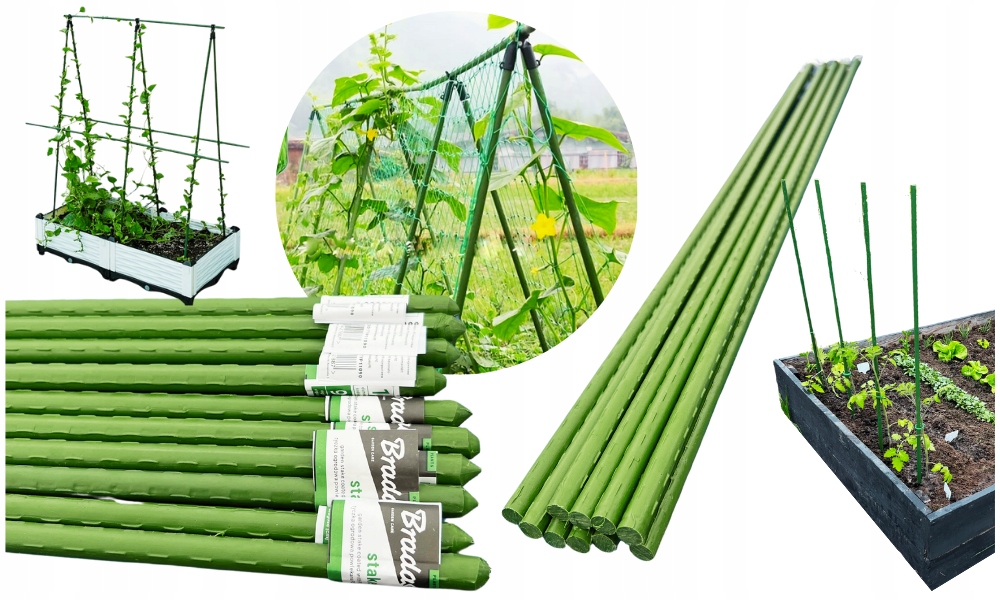 10X TYCZKA PALIK PODPORA NA POMIDORY OGÓRKI STATYW TYCZKI DO ROŚLIN 100 CM Producent inna