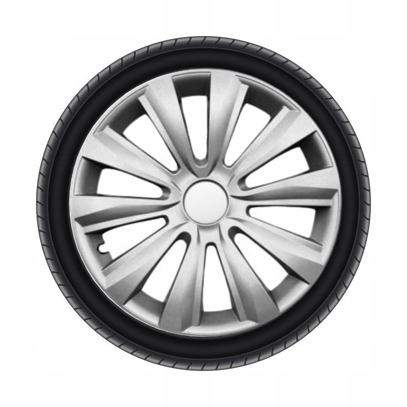 

Kołpaki 15'' Renault Clio Laguna Megane Scenic itp