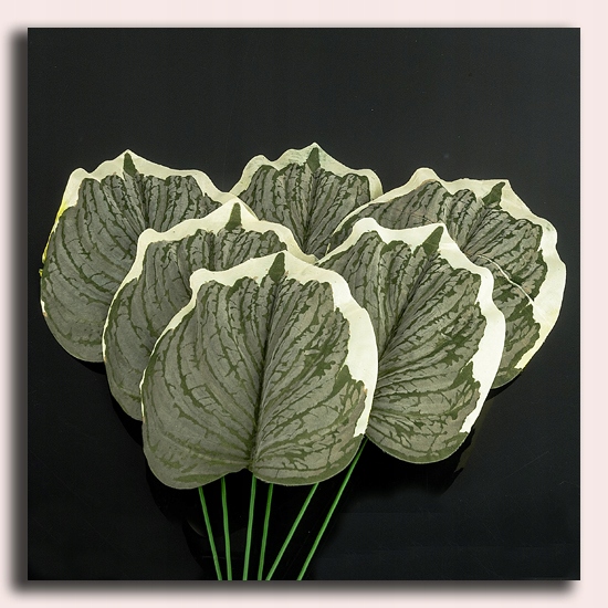 Liść MELON green/white MICRO TOUCH Marka MyFlowers