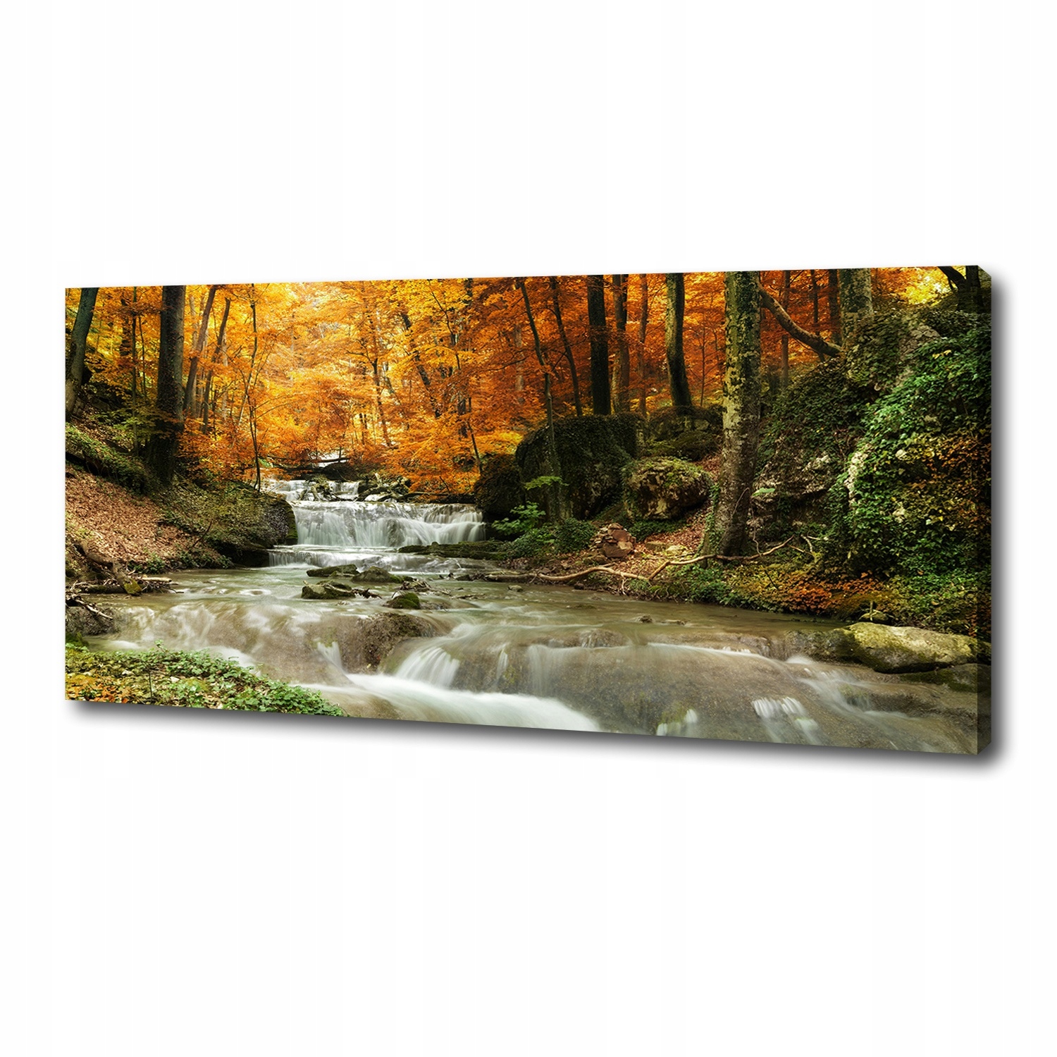 

Foto obraz na płótnie Wodospad w lesie 125x50 cm