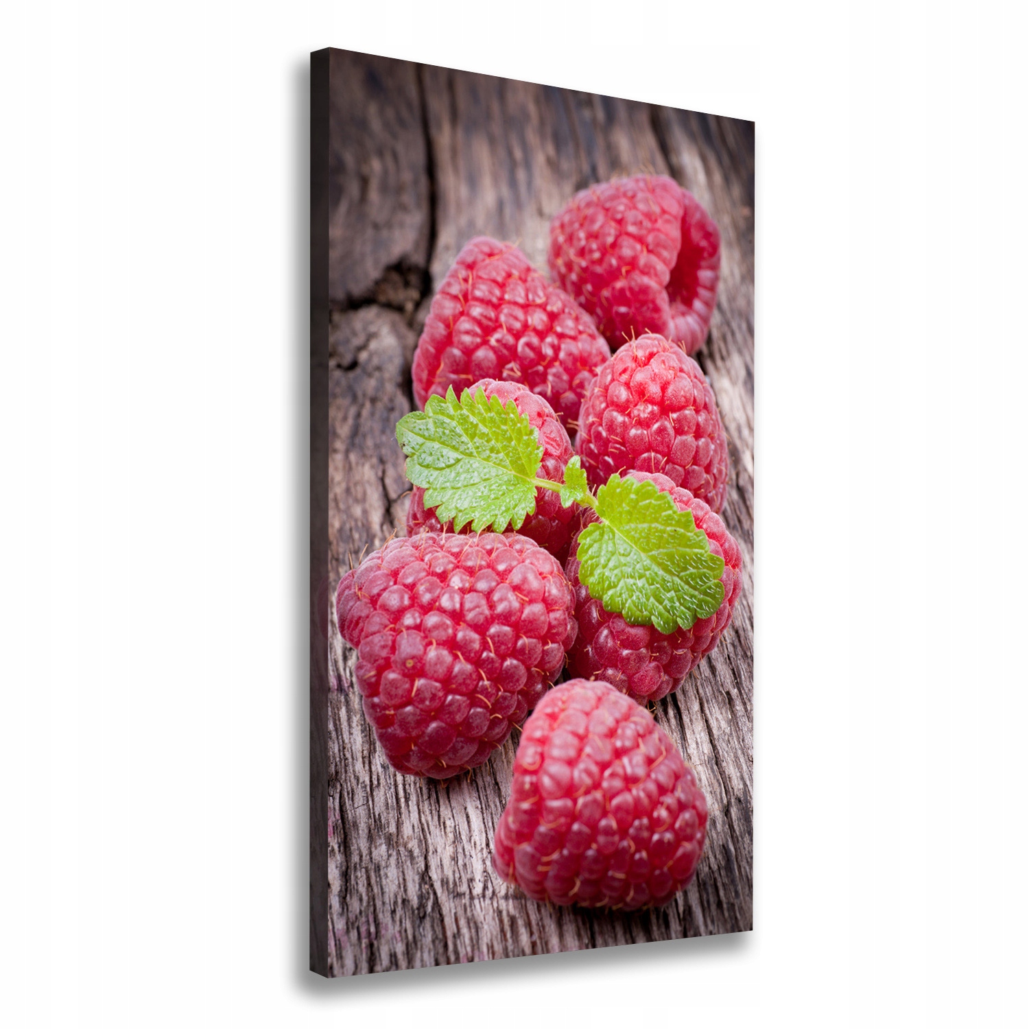 

Nowoczesny fotoobraz canvas na ramie Maliny 70x140