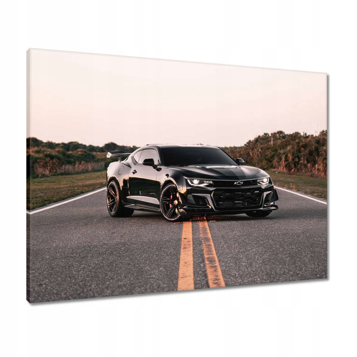 Obrazy 80x60 Auto Fura Sport