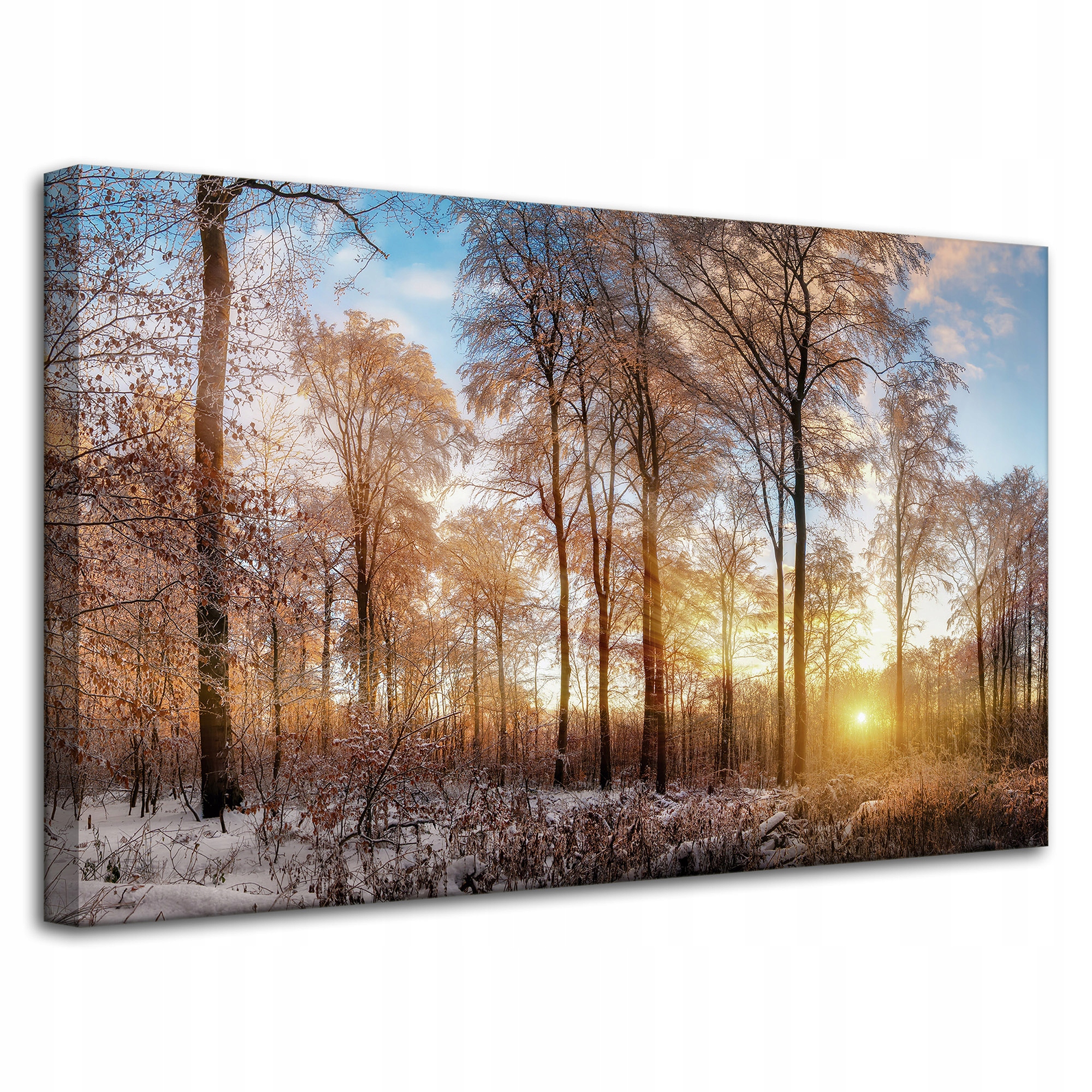 Obraz na plátně Stromy Zima Vycházející Slunce 80x50 cm