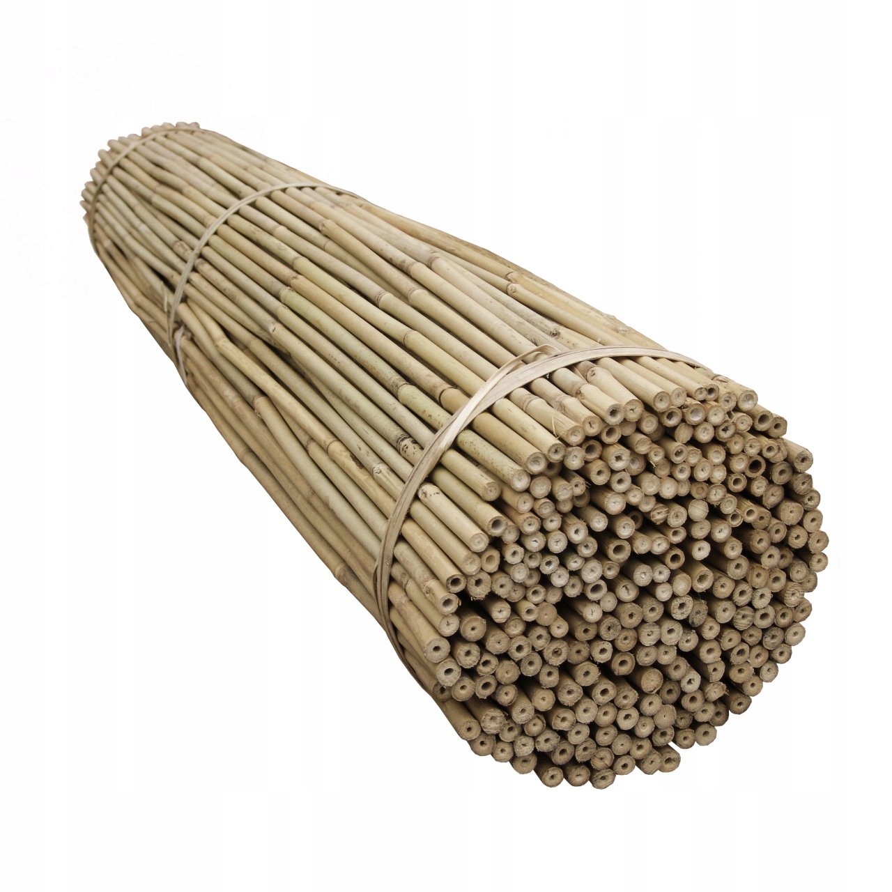 TYCZKA Bambusowa150cm Paliki do pomidorów -10szt