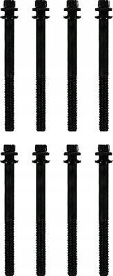 Комплект болтів головки блоку циліндрів REINZ 14-32307-01