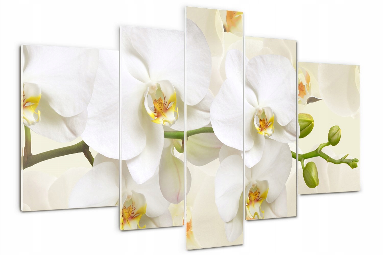 

Foto Obraz szklany tryptyk nowoczesny Orchidea