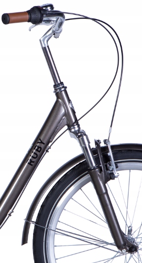 Rower miejski Dorozhnik RUBY планет. planetrna rama 17 cali koło 26 " Rozmiar ramy 17 cali