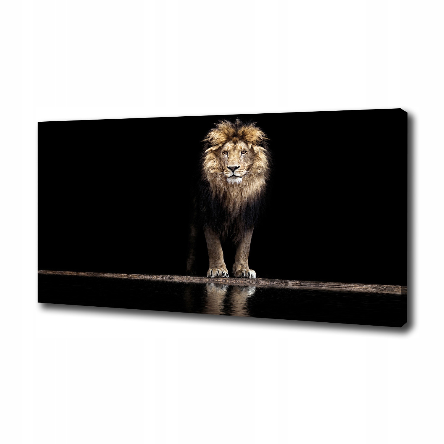 

Foto obraz canvas na ścianę Portret lwa 100x50 cm
