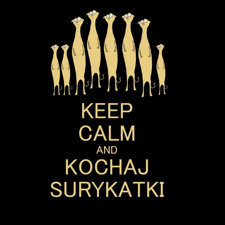 

Damska Koszulka Surykatka Surykatki Wzory s1c