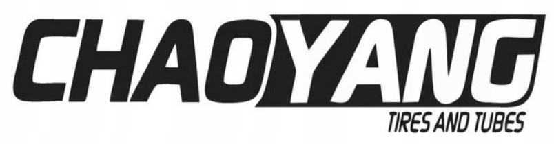 Dętka rowerowa do ENGWE EP 2 PRO Chaoyang 20 x 4,2 do 4,9" Oryginalna Model Fat