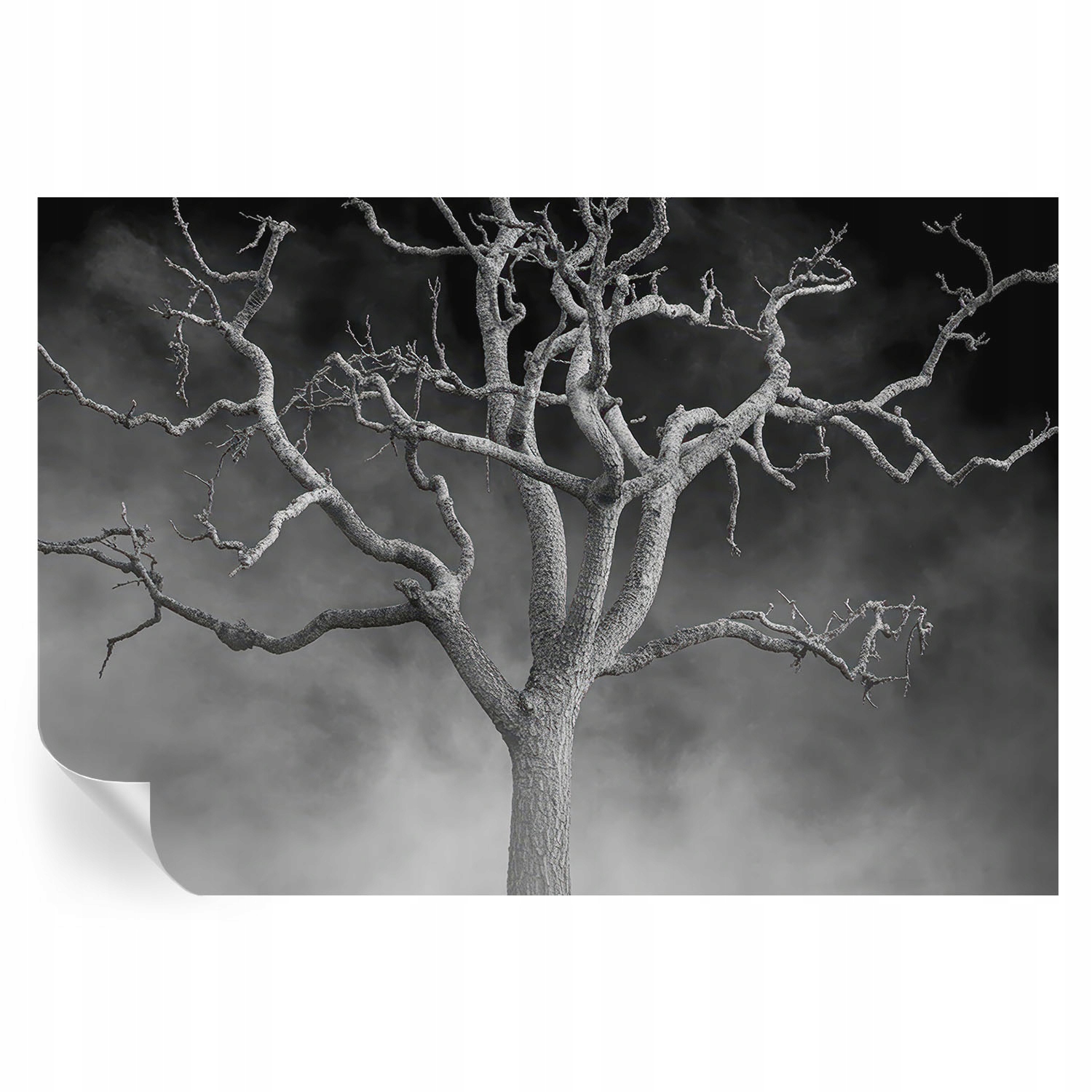 Samolepicí fototapeta Dekorativní do kanceláře Mlžný strom 152 x 104 cm