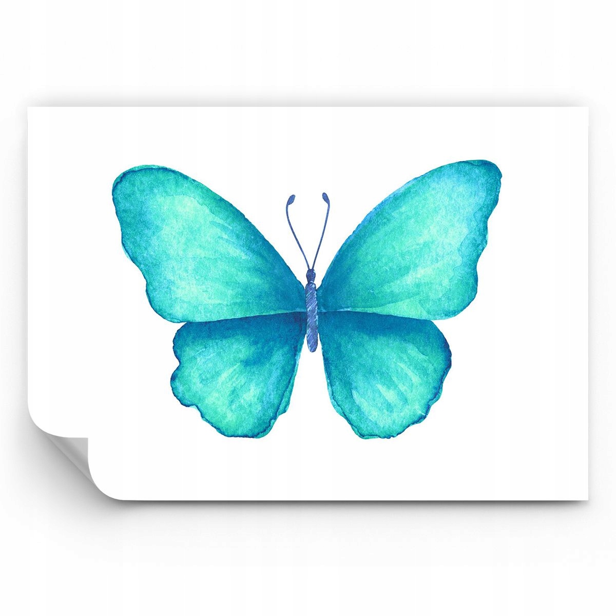 Fototapeta Motyl Tapeta Na Ścianę Do Sypialni Salonu 350x256 Ps