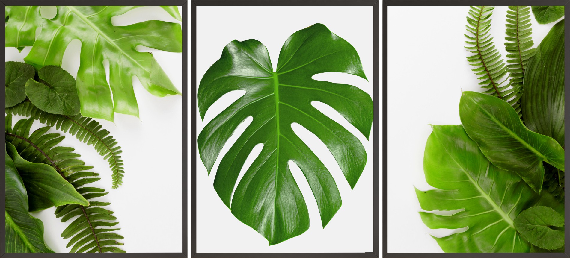 

Zestaw Plakatów Postery 3x 50x70 monstera liść