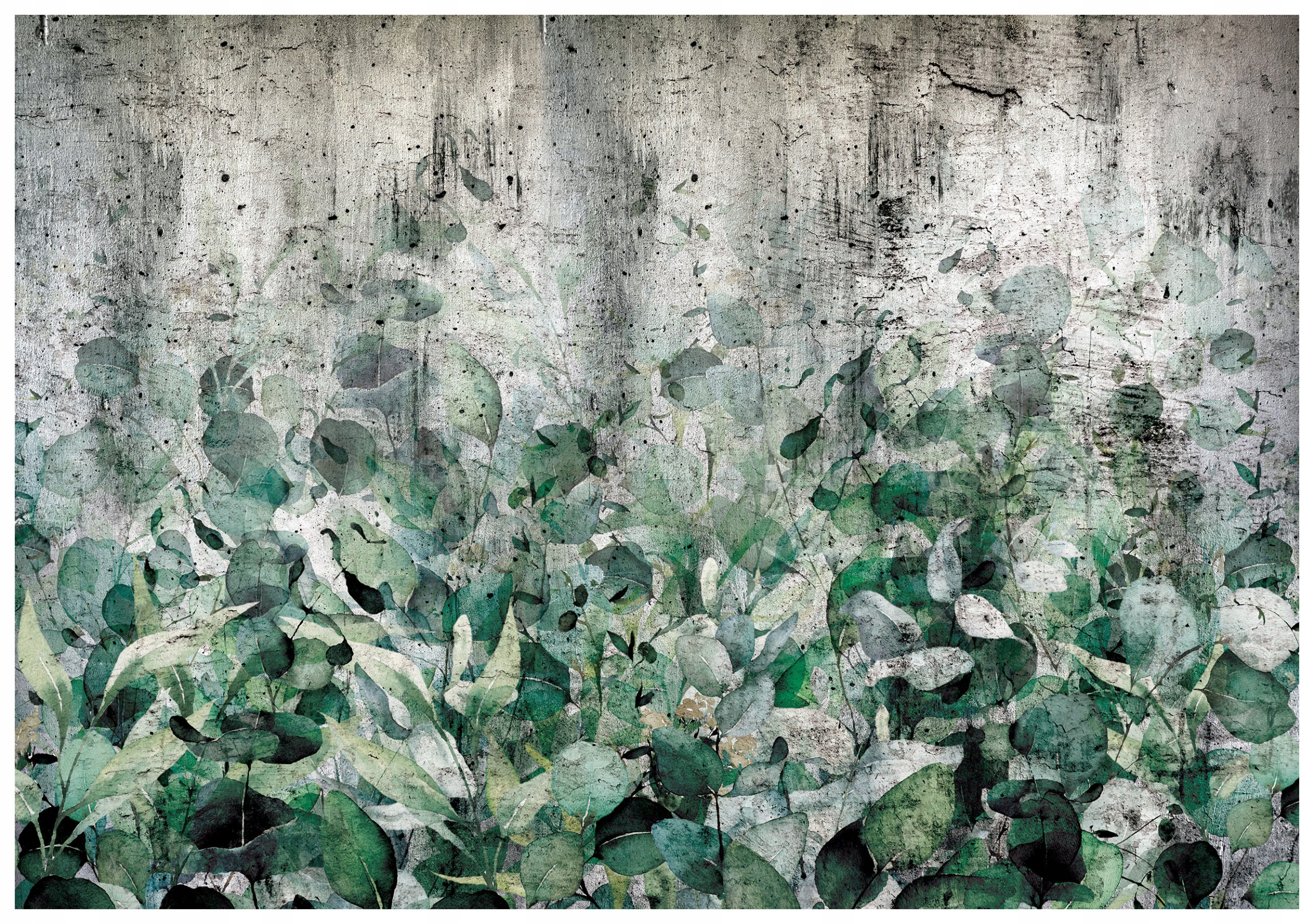 Fototapeta Eukalyptus na betóne listy 400x280 moderný štýl lepidlo