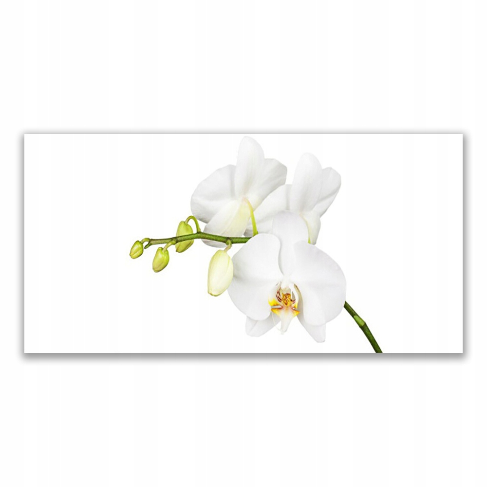 

Obraz akryl ścienny 120x60 Orchidea Kwiaty Natura