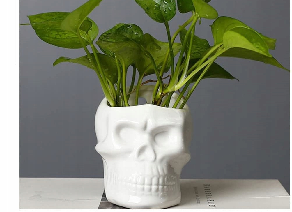 Czaszka doniczka,osłonka do powieszenia Rodzaj doniczka