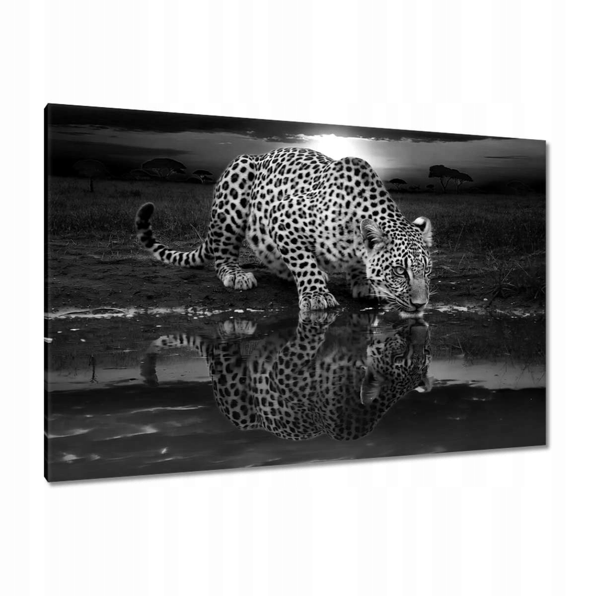 Obrazy 120x80 Na Zeď Gepard Tygr Obývací Pokoj