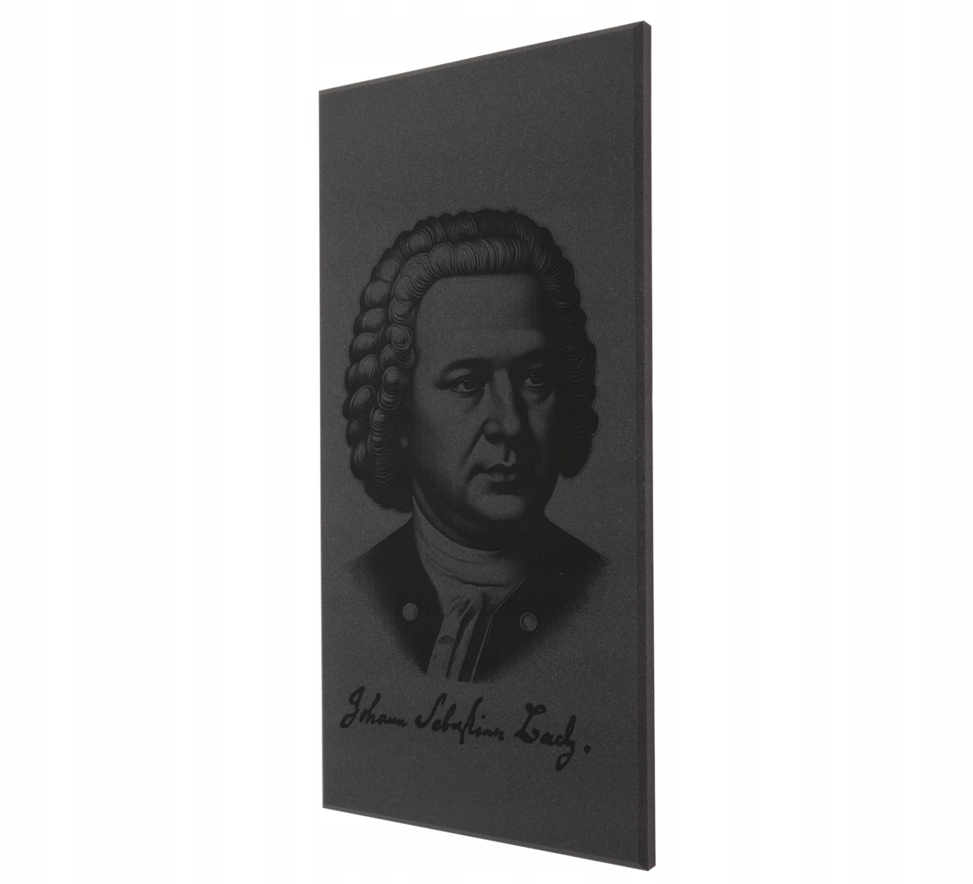 Dekorativní akustická obrazovka s tlumicím panelem 50 x 100 3 cm, kancelářský obraz