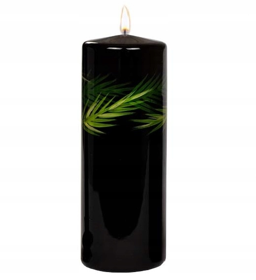 

Świeca Pieńkowa 200/70 Green Leaf Lakier Czarna