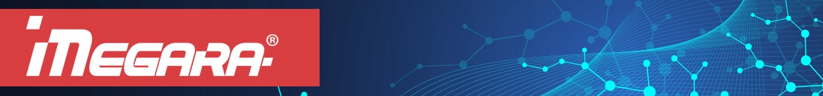 Szkło hybrydowe Sony DSC-RX100 - 2szt. Marka Megara