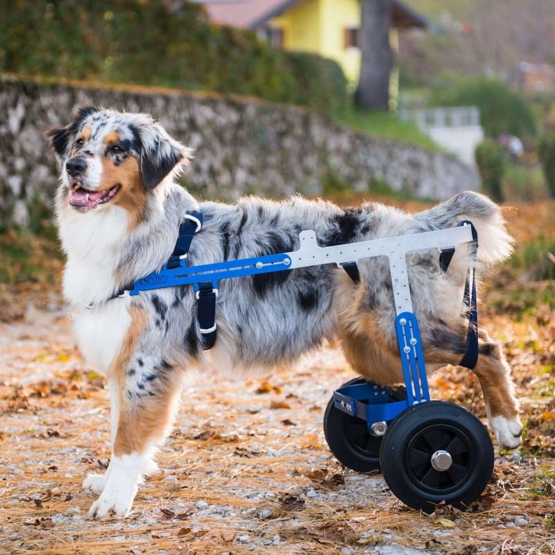 Terénní kočárek pro psa Balto Off Road [velikost M]