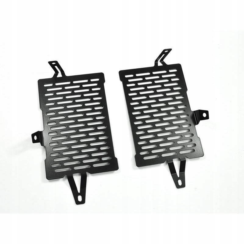 10001780 - РЕШЕТКА РАДИАТОРА ZIEGER BMW 1200 GS LC 2013-2014