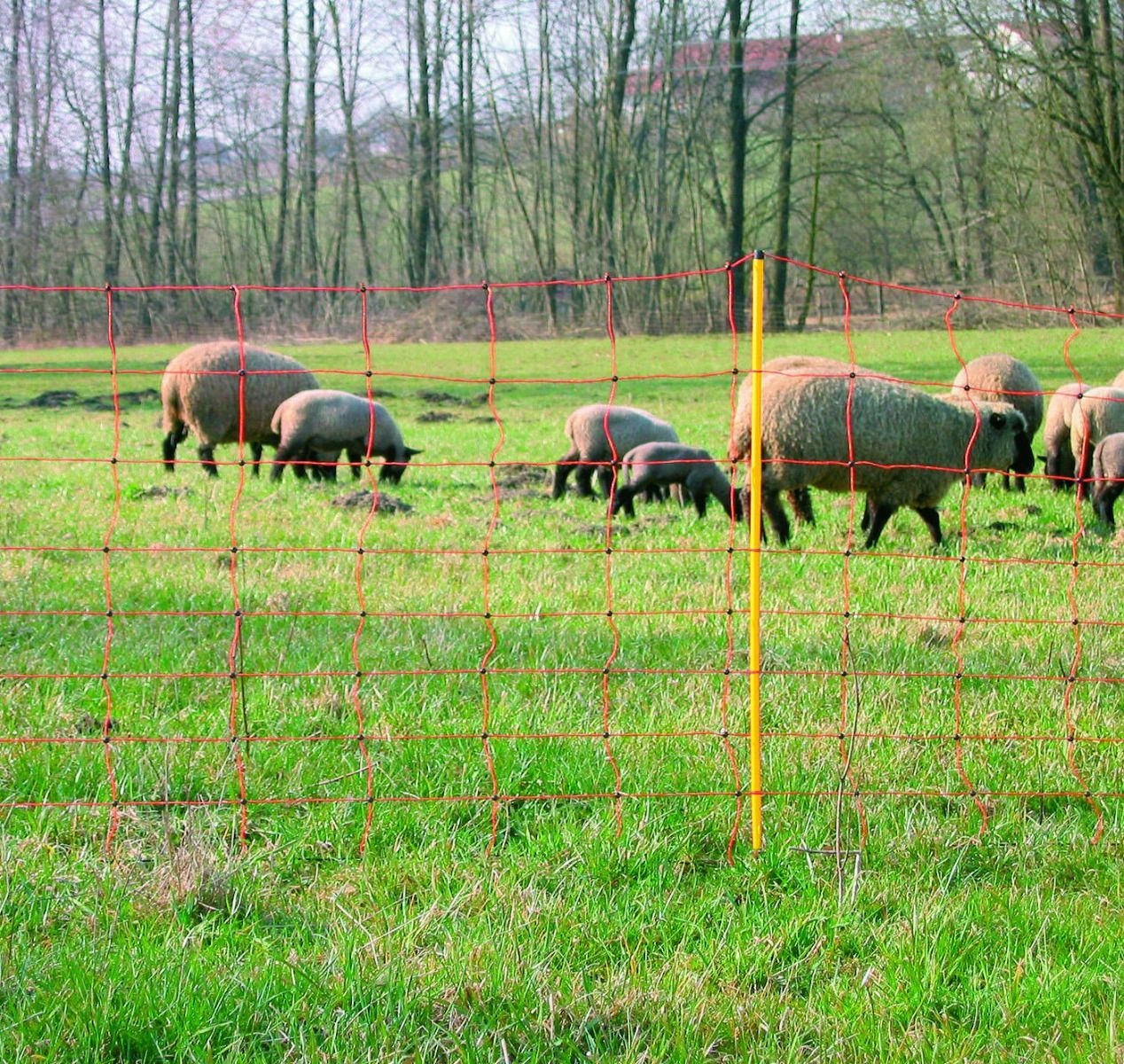 

Elektryczna Siatka Dla Owiec 50M X 108 CM