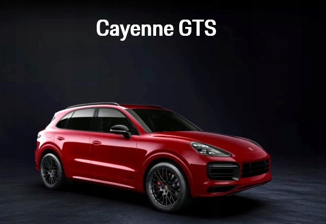 PORSCHE CAYENNE 9Y0 9Y3 GTS left grid POLYSK