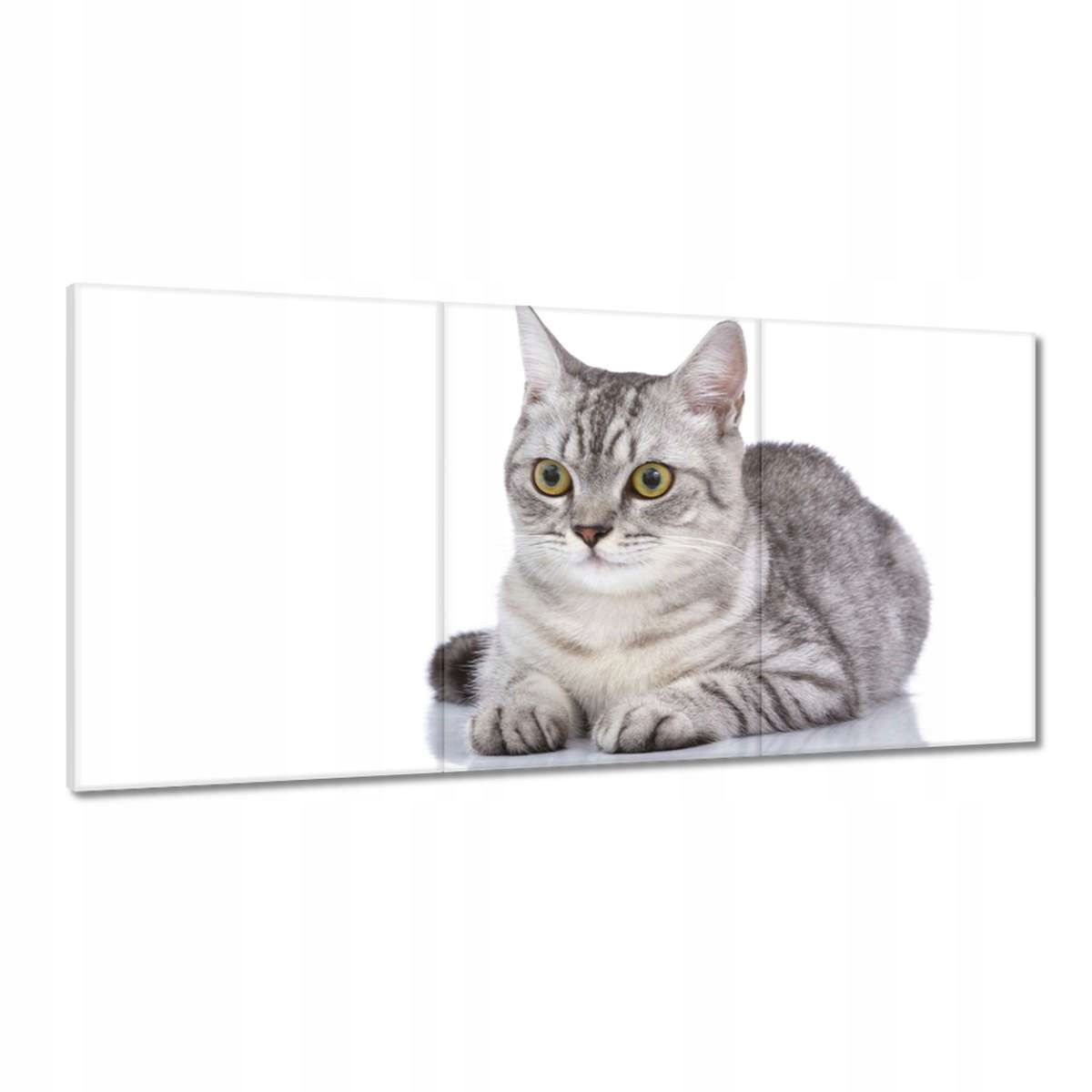 Obrazy 180x90 Mačka Mačky