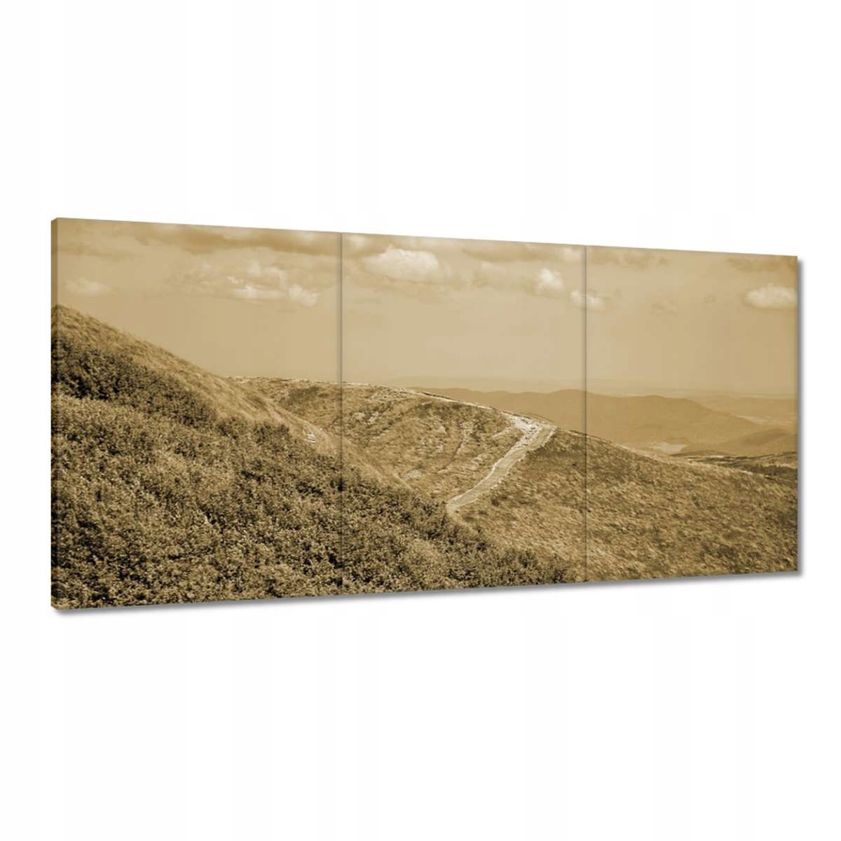 Obrazy 120x60 Polské hory Bieszczady