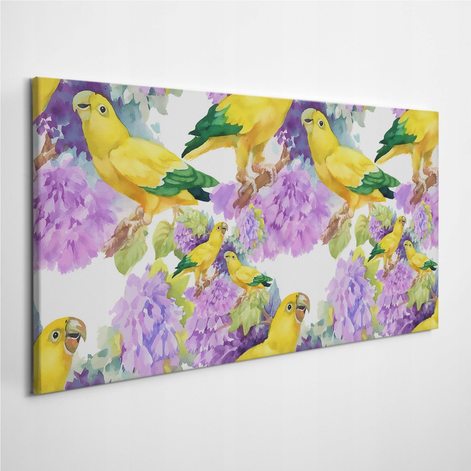 

Fotoobraz na ścianę Ptaki Zwierzęta Papuga 120x60