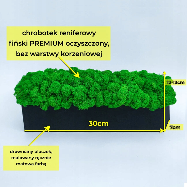 Chrobotek w drewnianej doniczce 30cm CZARNY MAT Marka bez marki