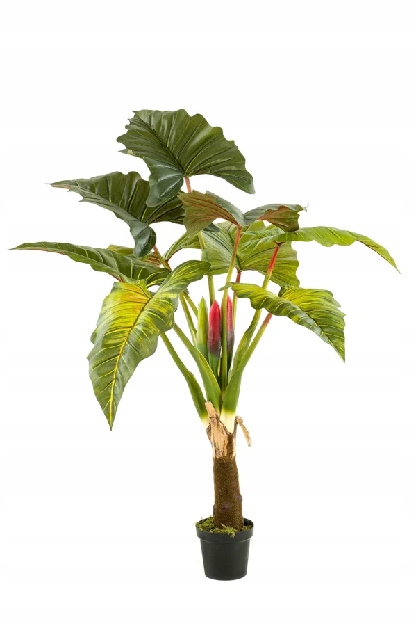piękna sztuczna Kolokazja 160 cm jak żywa efektowna alocasia duże liście