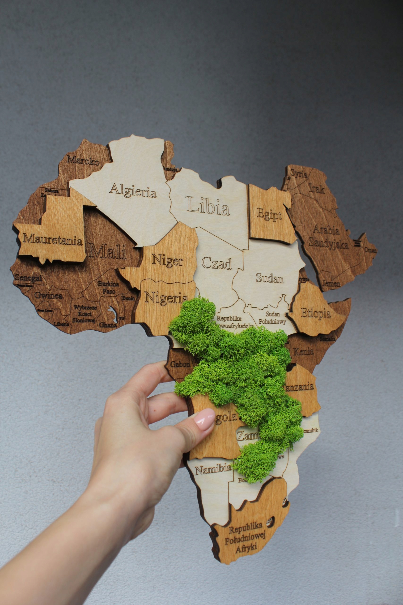 Drewniana Mapa Świata 3D z mchem chrobotkiem S Szerokość produktu 120 cm