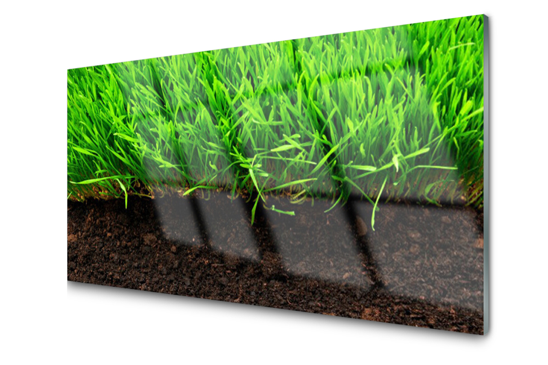 

Panel szklany dekoracyjny Trawa Roślina 100x50