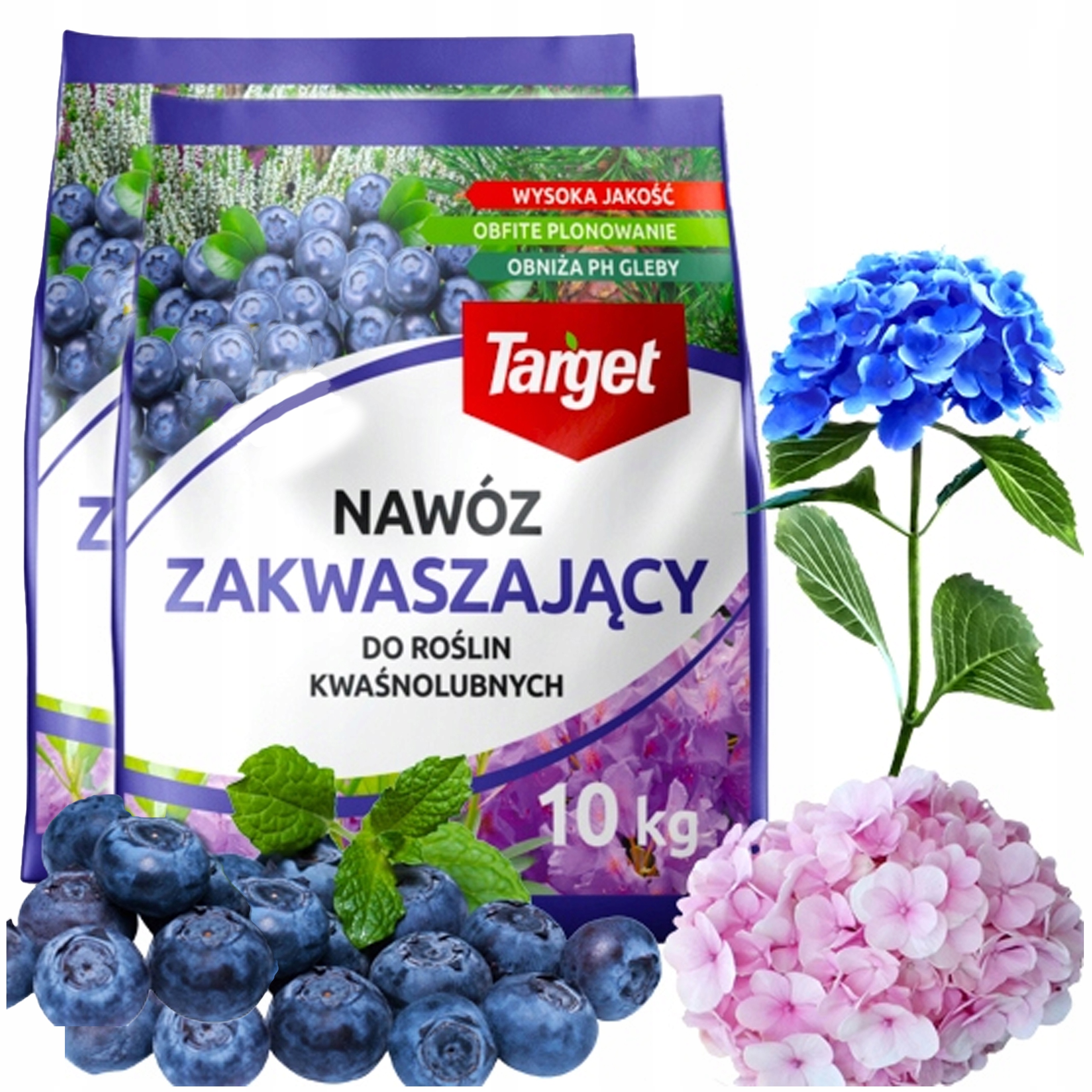 Target Nawóz Zakwaszający Do Roślin Kwaśnolubnych Borówek Obfite Plony 20KG