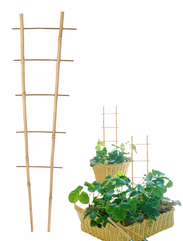 

Podpora Drabinka Bambusowa do Warzyw Kwiatów 60cm