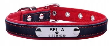 Levně Obojek pro psa kočku Personalizované jméno telefonní číslo L Červená