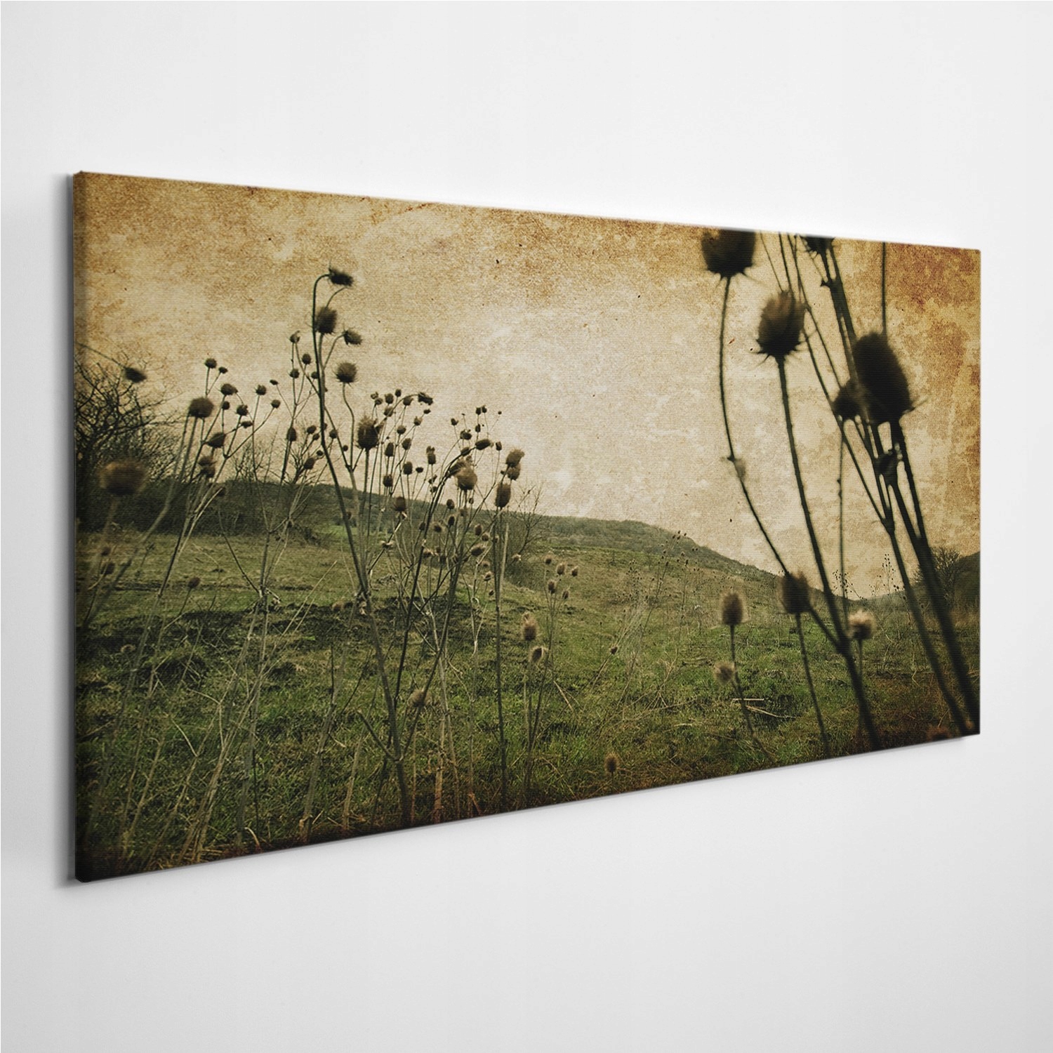 

Zdjęcie na foto-obrazie Łąka Kwiaty Natura 120x60
