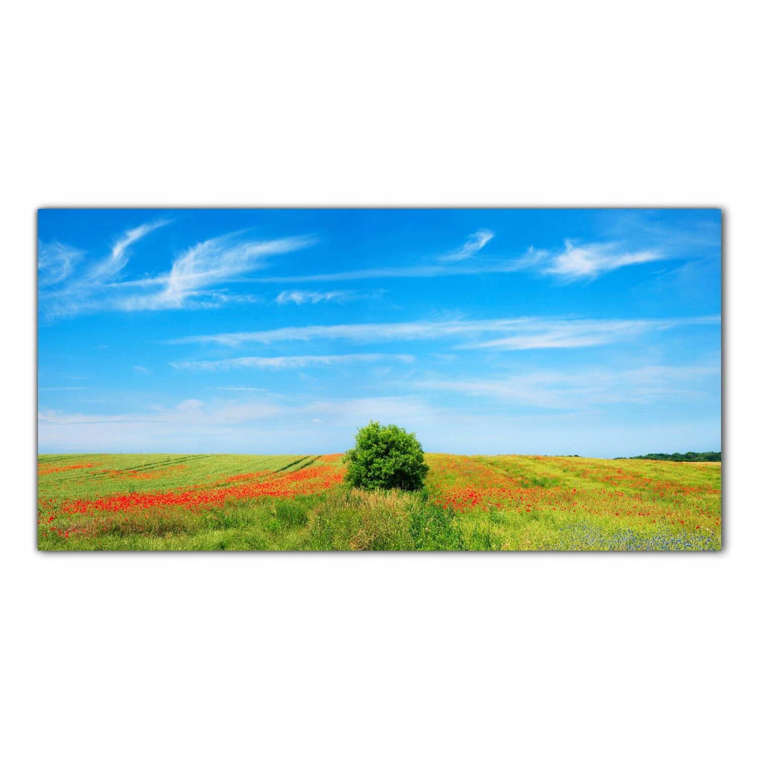 Kvety Pole Lúka 120x60 Panel nad pracovnou doskou do kuchyne