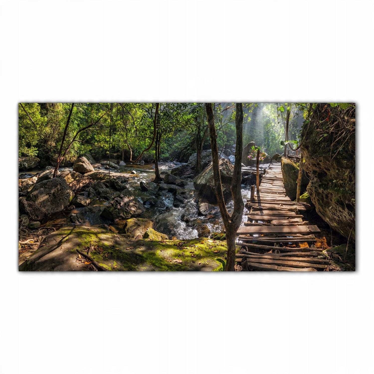 

Obraz Szklany Foto-obraz Tropiki Deszcz Las 120x60
