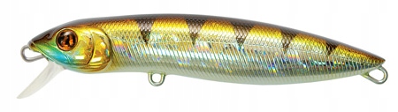 PONTOON21 Moby Dick 120F-MR 107 Crash Hg Perch