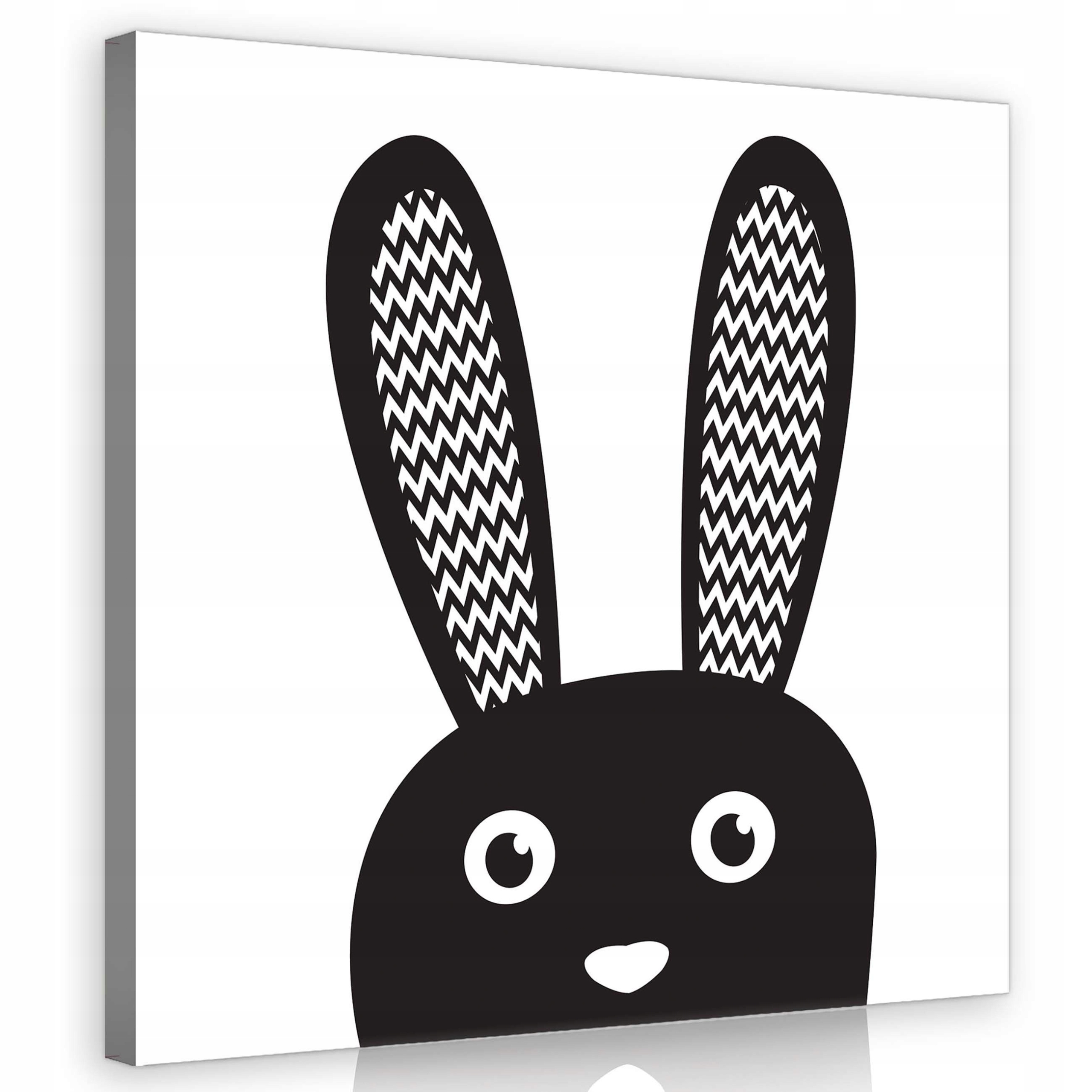 Obraz 80x80 Králík zajíc černobílý minimalismus sladké jednoduché uši oči
