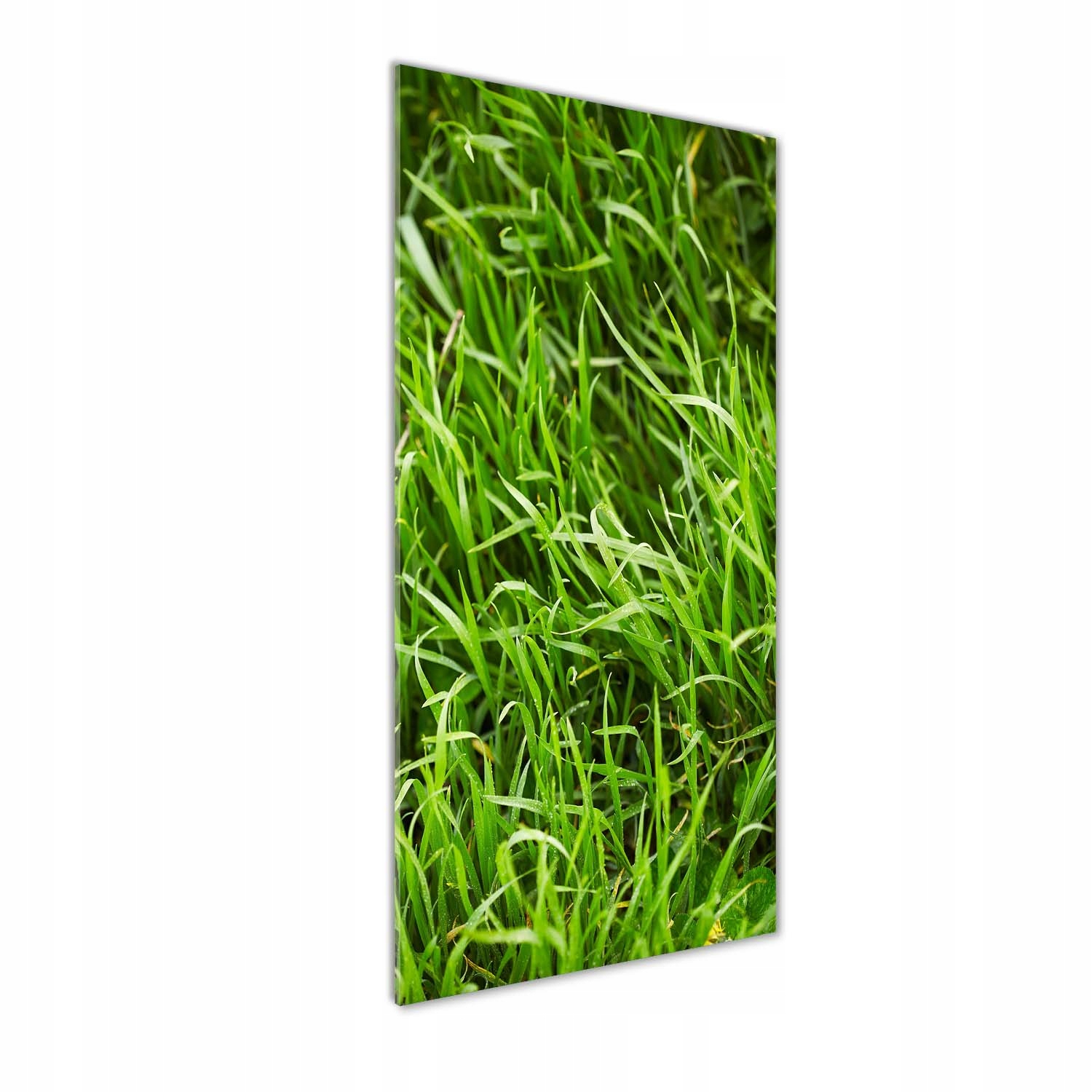 

Fotoobraz szklany na ścianę do salonu Trawa 50x125