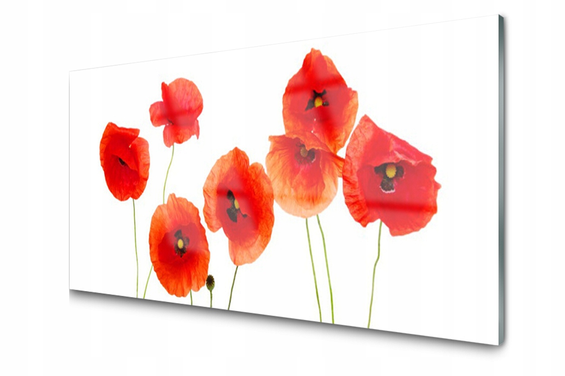 

Panel szklany dekoracyjny Maki Roślina 100x50