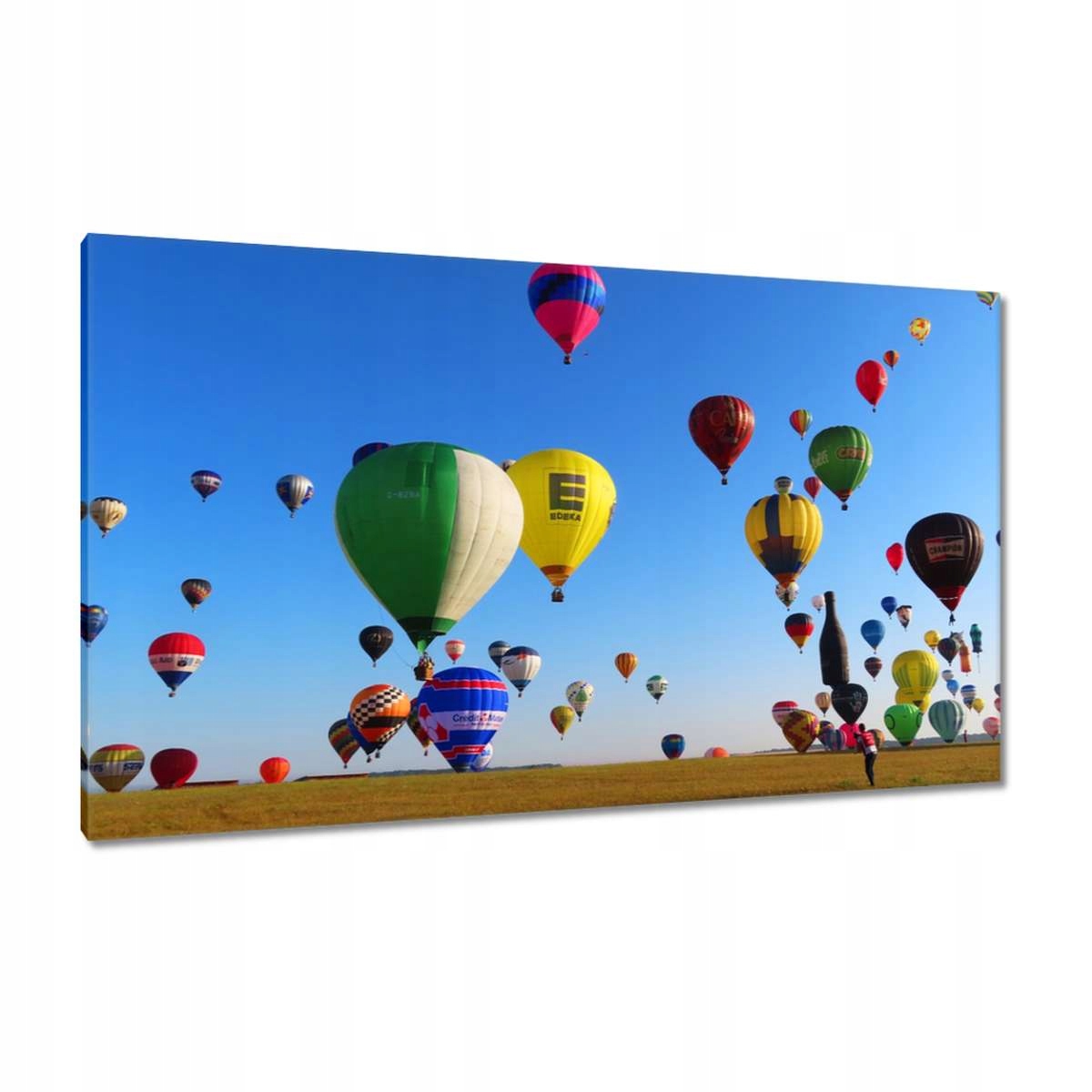 Obrazy 120x70 Balónový slet Balóny