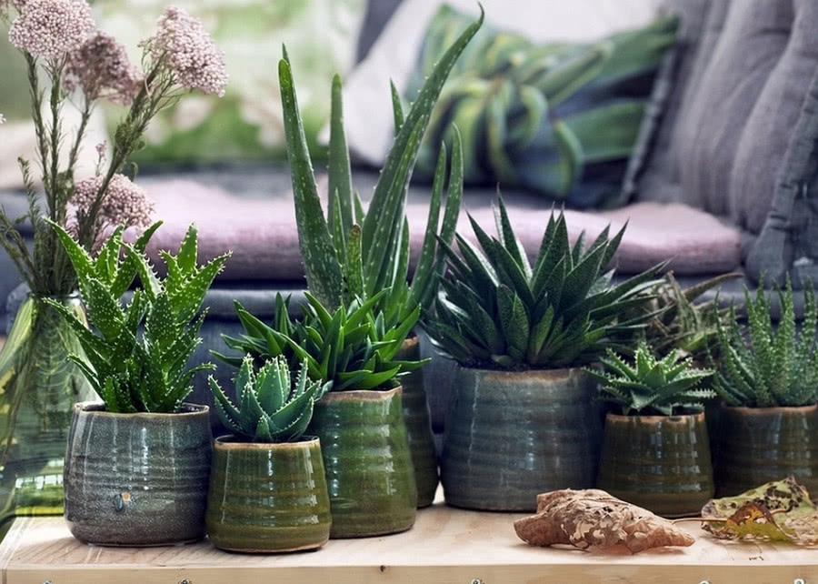 Osłonka Ceramiczna Doniczka Niebieska Złota 14 cm Maks. szerokość 14.5 cm